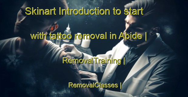 Skinart Introduction to start with tattoo removal in Abide | RemovalTraining | RemovalClasses | SkinartTraining-Turkey